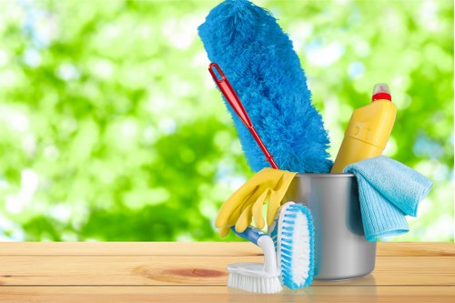 Local home cleaning service in SW2 for domestic properties