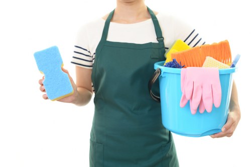 Professional oven cleaning service for a home in SW2