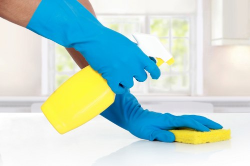 Customer concern being noted for carpet cleaning service