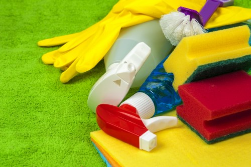 Expert carpet cleaning approach for SW2 carpets and rugs