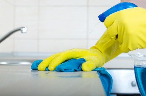 Oven shelves and trays being cleaned for a South London property