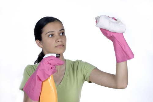 Local carpet cleaner treating stains in a SW2 property